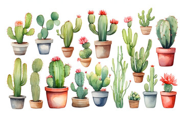 Cactus varieties made with watercolor on white background