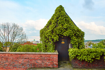 A small mystical door in the ivy-covered fence to the old Zamek Krolewski na Wawelu castle in the center of Krakow.