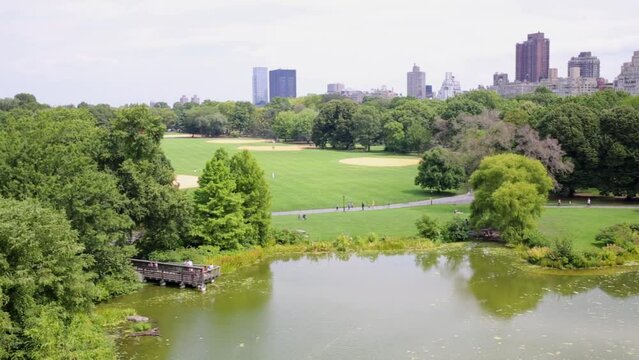 Pond with green water among lawns and trees against buildings