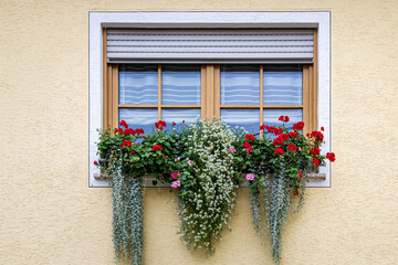 Photo of a flower boxes under two windows against a light yellow wall in Germany