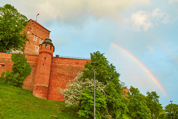 A rainbow in the pre-rain sky above the trees.