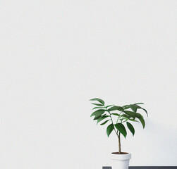 Green plant in a vase. Minimalist Wallpaper. Beautiful backdrop with empty copy space. Minimal flyer 