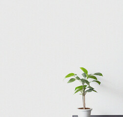 Green plant in a vase. Minimalist Wallpaper. Beautiful backdrop with empty copy space. Minimal flyer 