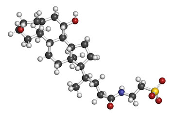 Tauroursodeoxycholic acid (TUDCA) molecule. Conjugate of taurine and ursodeoxycholic acid. 3D rendering.
