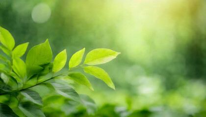 Fototapeta na wymiar Green leaves wallpaper. Nature view green leaf on blurred greenery background under sunlight.