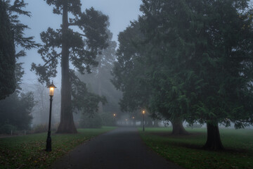 Road in the fog, surrounded by trees illuminated by vintage street lamps in Farmleigh Phoenix Park....