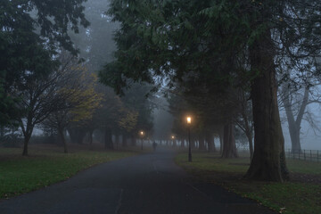 Blurred people in the fog, on road surrounded by trees and illuminated by vintage street lamps,...