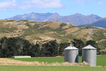 Fototapeta na wymiar Hügellandschaft in Neuseeland