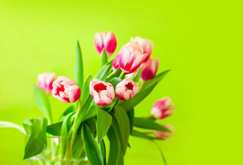 Tulips bouquet. Spring decor or present for International Women's Day, birthday, Mother's day.