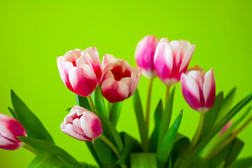 Tulips bouquet. Spring decor or present for International Women's Day, birthday, Mother's day.