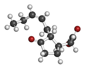 Jasmonic acid (jasmonate, JA) plant hormone molecule. 3D rendering.