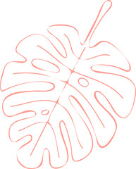 monstera leaf.Tropical palm tree leaf, fronds, Cartoon style flat design, on transparent, png. Summer, seasonal element