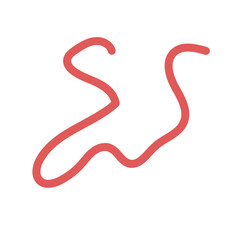 Squiggly abstract line vector