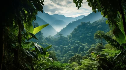 Foto op Plexiglas Enchanting Canopy: A Mesmerizing Jungle Landscape © Pavlo