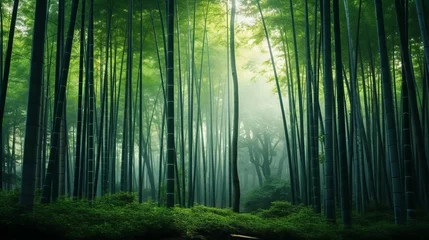 Foto op Canvas Bamboo Canopy: Nature's Dance in the Thicket © Pavlo