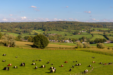 Summer landscape view, Hilly countryside of Zuid-Limburg with small village on the hillside,...