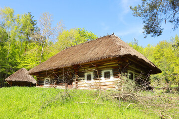 Fototapeta na wymiar Traditional wooden Ukrainian house in Pirogovo, Ukraine
