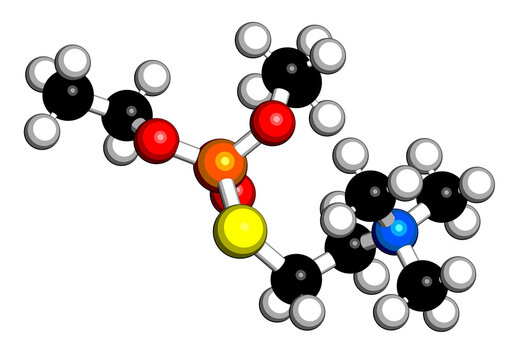Echothiophate (phospholine) drug molecule. 3D rendering.