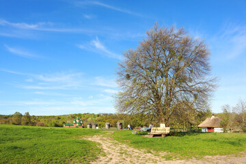 Ukrainian skansen Pirogovo in spring time in Kyiv, Ukraine