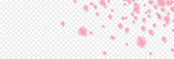 Vector rose petals png. Flying sakura or rose petals. Petals png. © Vitaliy