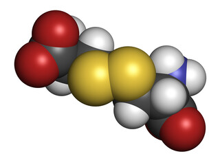 Cystine molecule. Oxidized dimer of the amino acid cysteine. 3D rendering.
