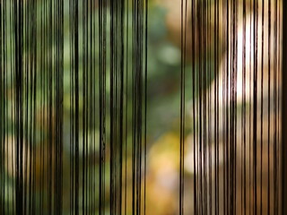 A curtain in the form of vertical threads against a background of green bushes