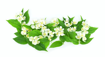 Composition of twigs with white flowers and leaves isolated on a white background. Philadelphus (mock-orange). Copy space.