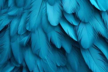 Foto op Plexiglas Blue Feathers Background, Blue Feathers Pattern, Feathers background, Feathers Wallpaper, bird feathers pattern, AI Generative © Forhadx5