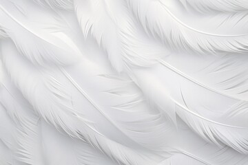 White Soft Feathers Background, White Fluffy feathers pattern, Beautiful feathers background, feathers wallpaper, bird feathers pattern, AI Generative