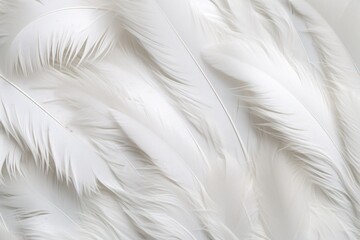 White Soft Feathers Background, White Fluffy feathers pattern, Beautiful feathers background, feathers wallpaper, bird feathers pattern, AI Generative