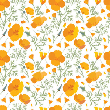 California yellow poppy seamless pattern
