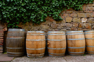 Fototapeta premium Whisky barrel against a stone wall with ivy
