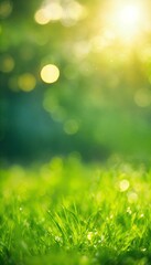 Obraz premium Sunny defocused green nature background, abstract bokeh effect es element for your design.