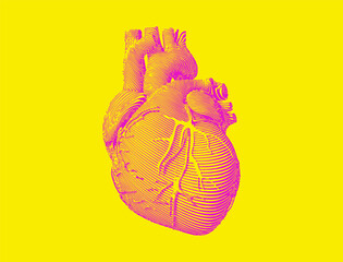 Stylized pink human organ heart illustration on yellow BG
