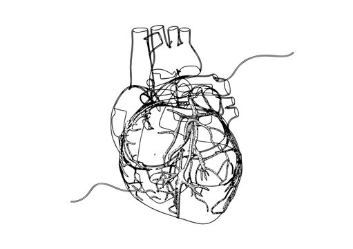 Vector doodle of human heart in messy thread line style