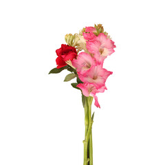 Bouquet of mixed flower stems isolated on transparent background