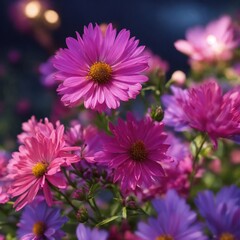 Obraz premium Pink and purple flowers