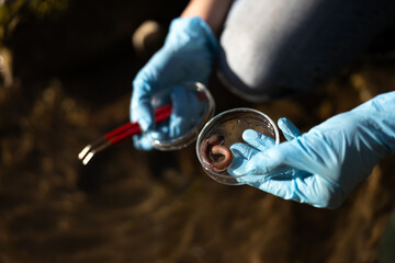 Biologist Hands Collecting Bio Samples for Further Examination Form a Water Stream