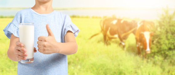 Little child holding glass of milk and showing thumb-up gesture in pasture with grazing cows