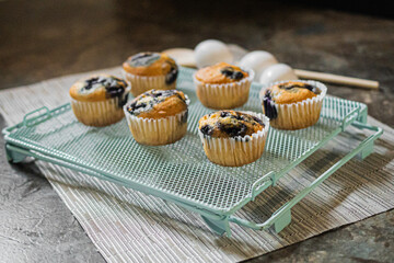 cupcake, cake, dessert, food, sweet, cream, baked, icing, chocolate, frosting, cup, snack, pink, cupcakes, delicious, white, pastry, birthday, party, decorated, muffin, cakes, bakery, nobody, celebrat