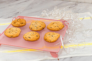 cupcake, cake, dessert, food, sweet, cream, baked, icing, chocolate, frosting, cup, snack, pink, cupcakes, delicious, white, pastry, birthday, party, decorated, muffin, cakes, bakery, nobody, celebrat