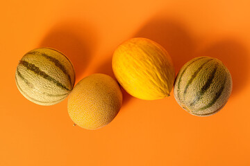 Different sweet melons on orange background