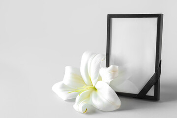Blank funeral frame and beautiful lily flower on grey background