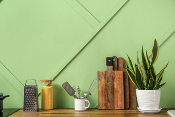 Wooden countertop with houseplant and utensils in modern kitchen