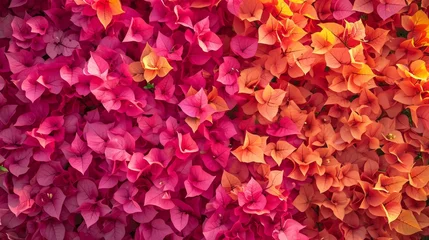 Foto op Canvas Tropical paradise with vibrant bougainvillea generative ai © ThisDesign