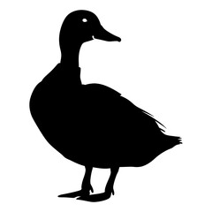 Silhouette duck black color only