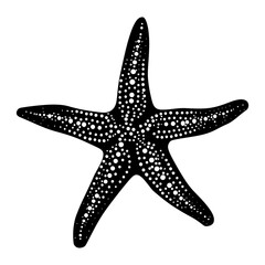 Silhouette starfish black color only