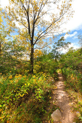 Fototapeta premium Country walking path in Ontario Canada