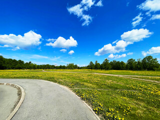 Obraz premium Summer asphalt road among flowers