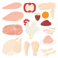 鶏肉のイラスト